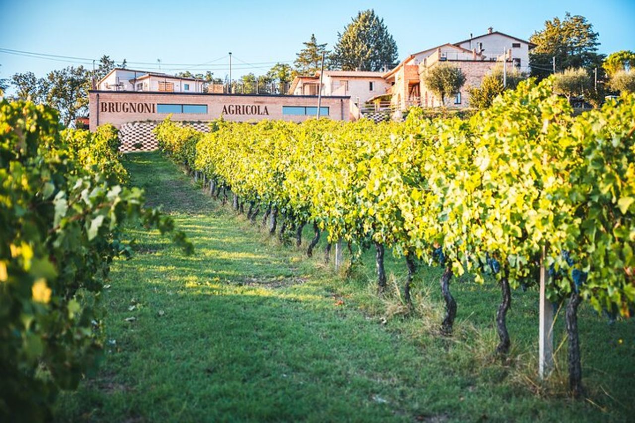 Visita Privata nella Cantina Brugnoni con Degustazione 4 vini — 6