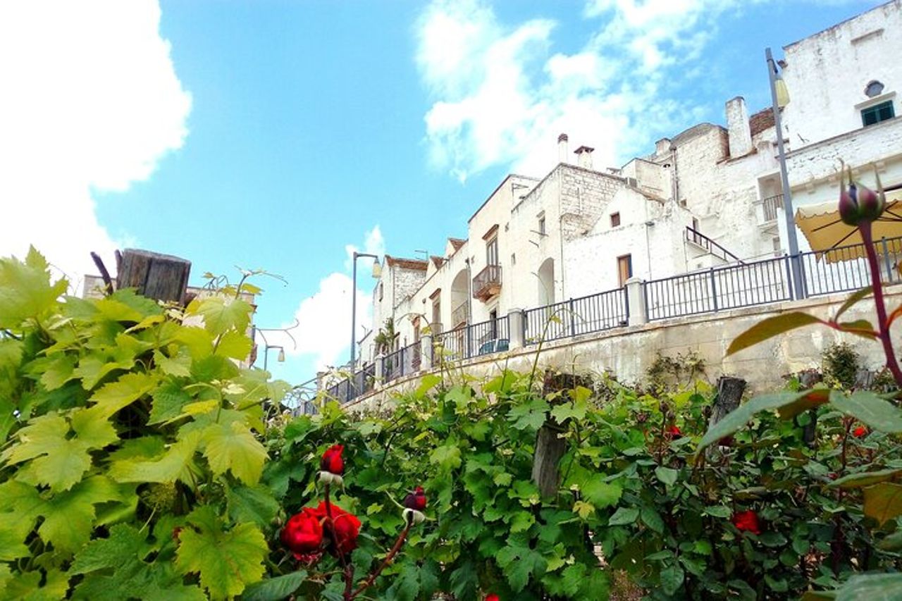Tour Privato in Valle d'Itria — 3
