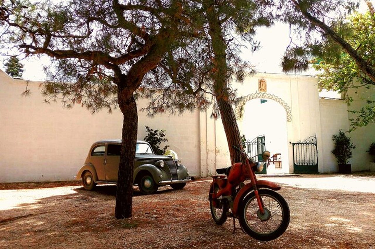 Tour Privato in Tuk Tuk degli Uliveti Millenari a Ostuni — 2