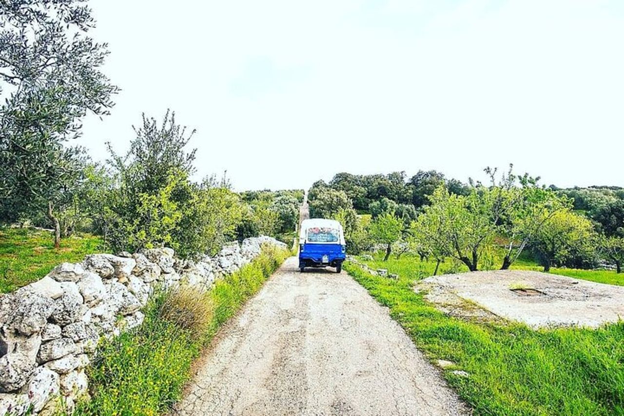 Tour Privato in Tuk Tuk degli Uliveti Millenari a Ostuni — 3