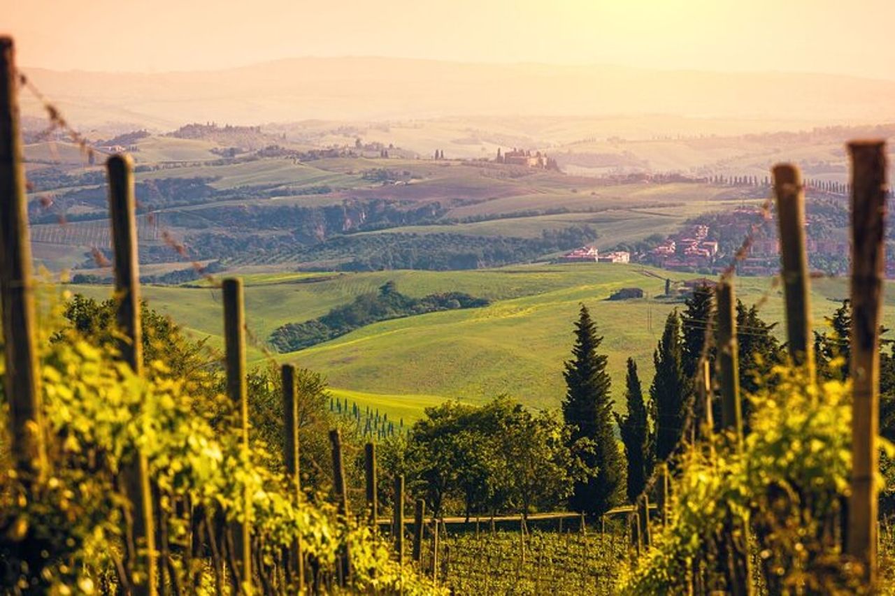 Da Firenze: Montalcino Val D'orcia wine experience — 7