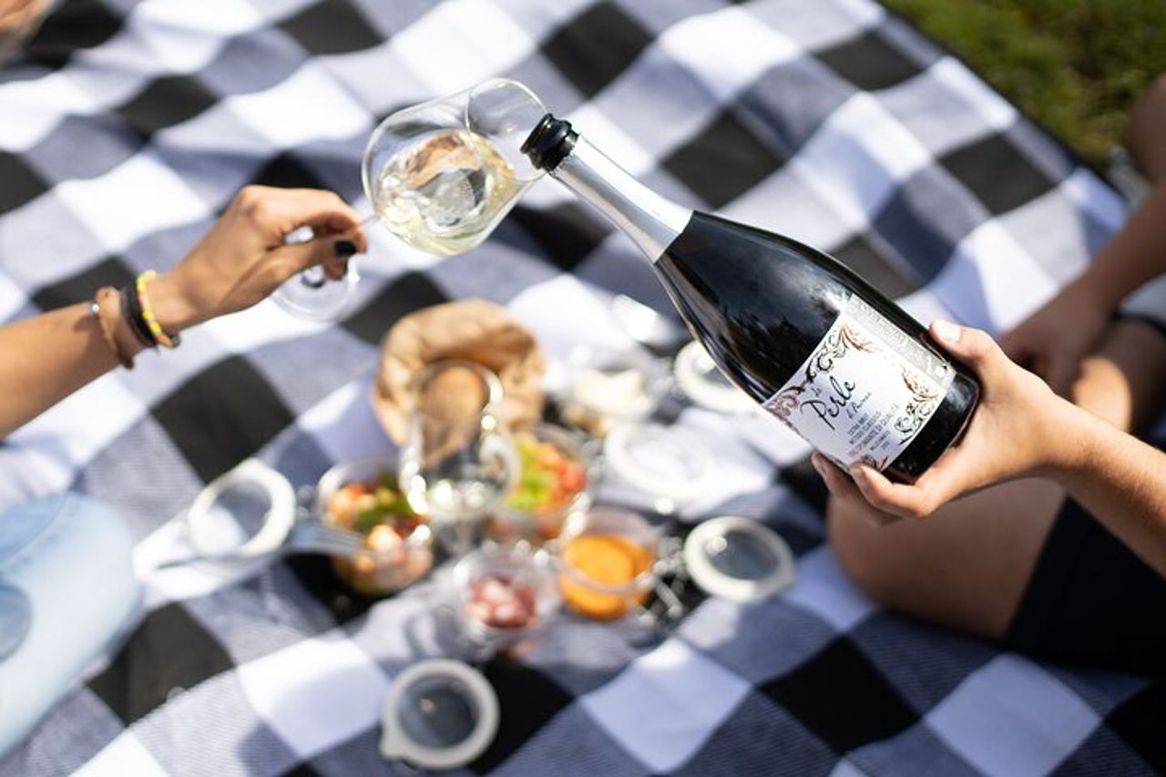 Visita guidata e picnic in vigna con una bottiglia di vino — 6