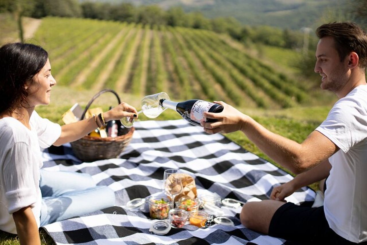 Visita guidata e picnic in vigna con una bottiglia di vino — 8