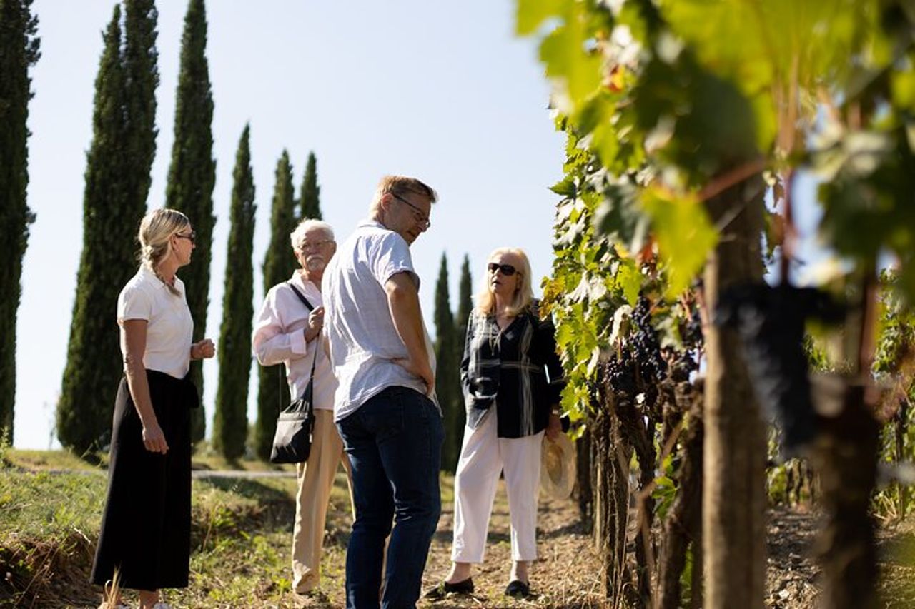 Visita guidata con degustazione di vini a Montalcino — 4