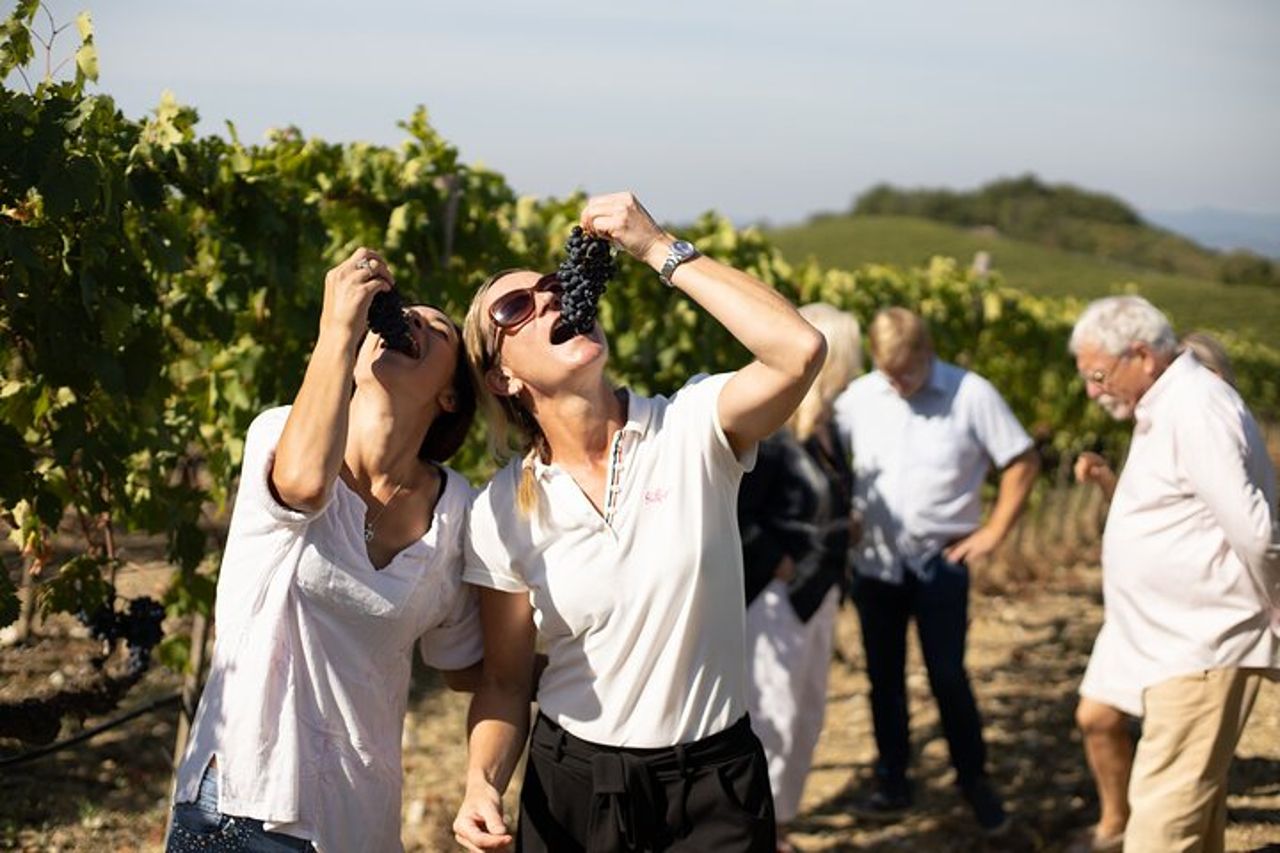 Visita guidata con degustazione di vini a Montalcino — 6