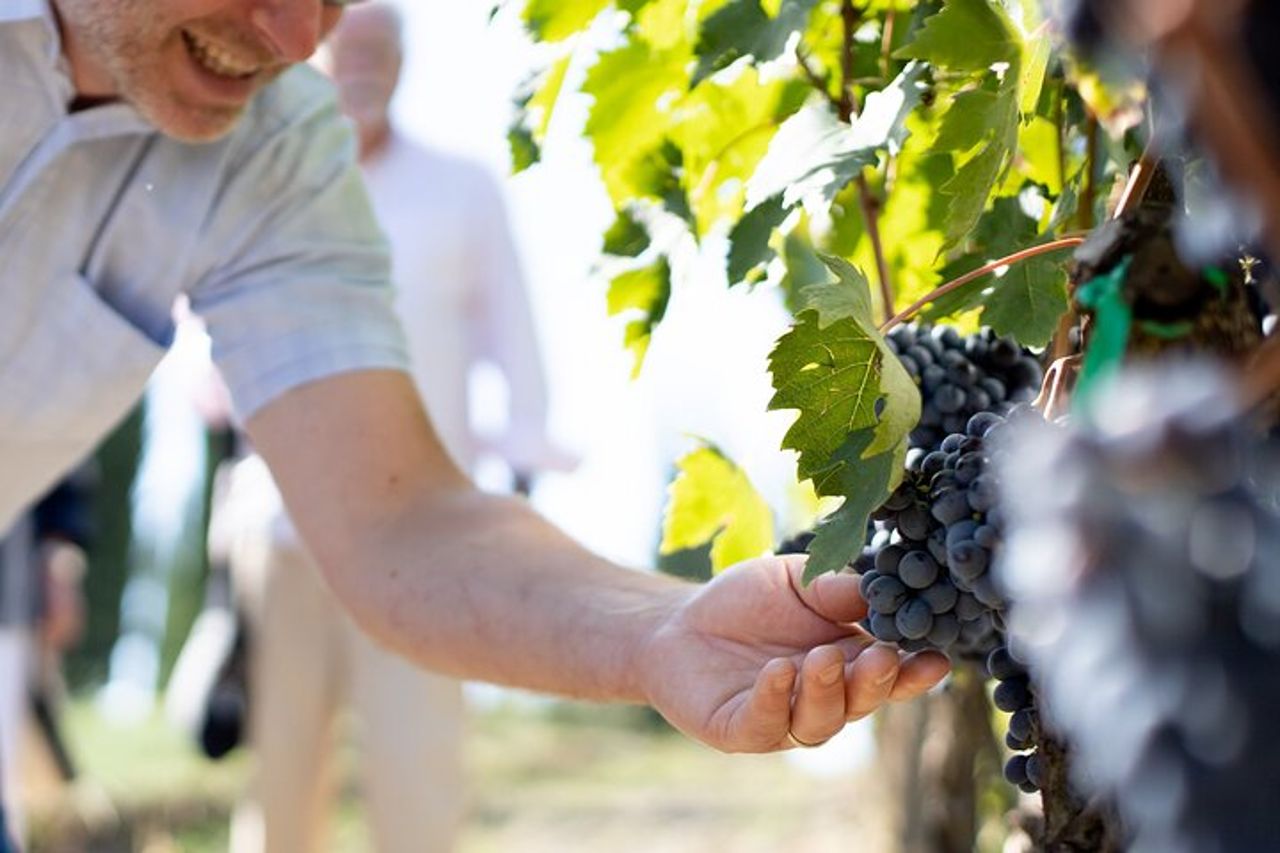 Visita guidata e degustazione gourmet a Montalcino — 8