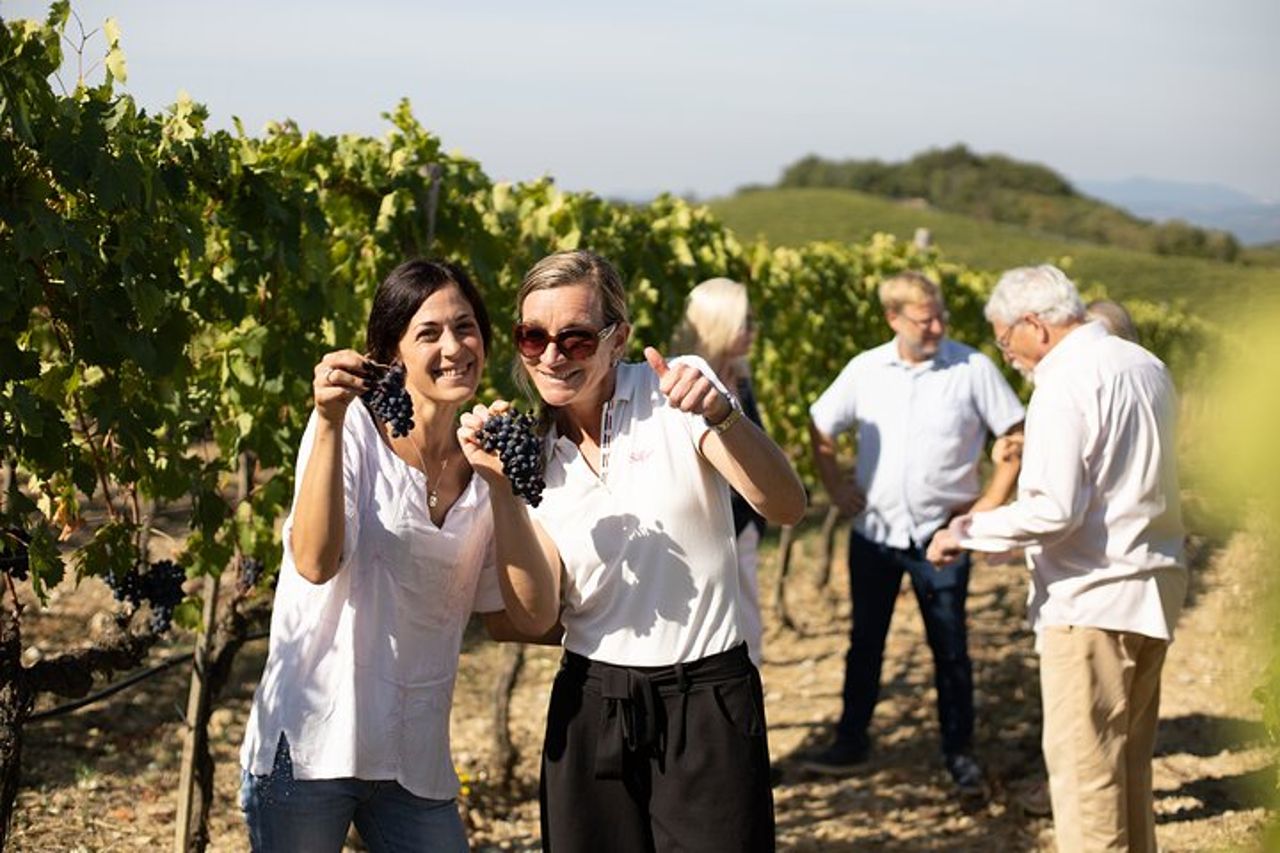 Visita guidata e degustazione gourmet a Montalcino — 3