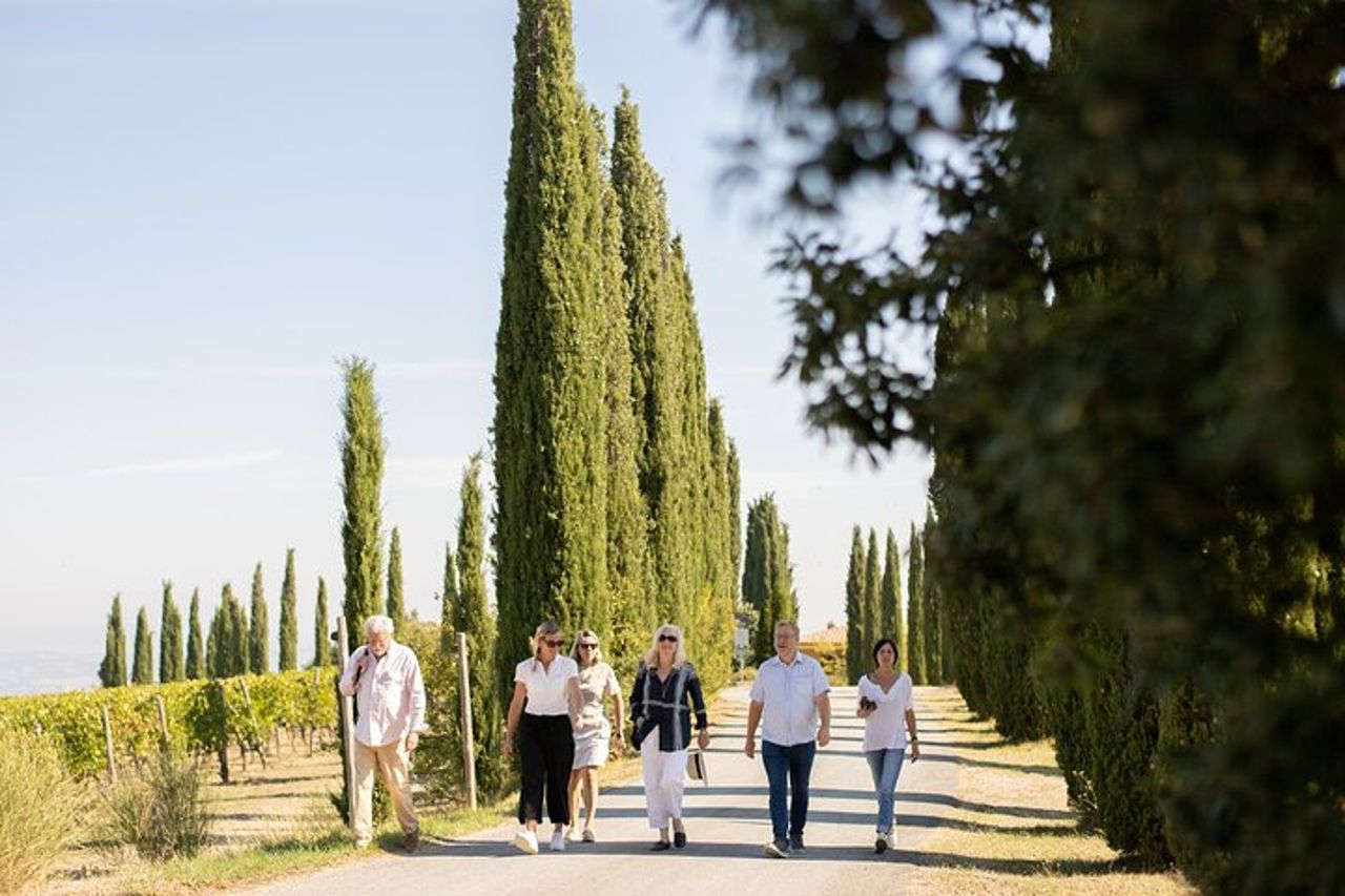 Visita guidata e degustazione gourmet a Montalcino — 6