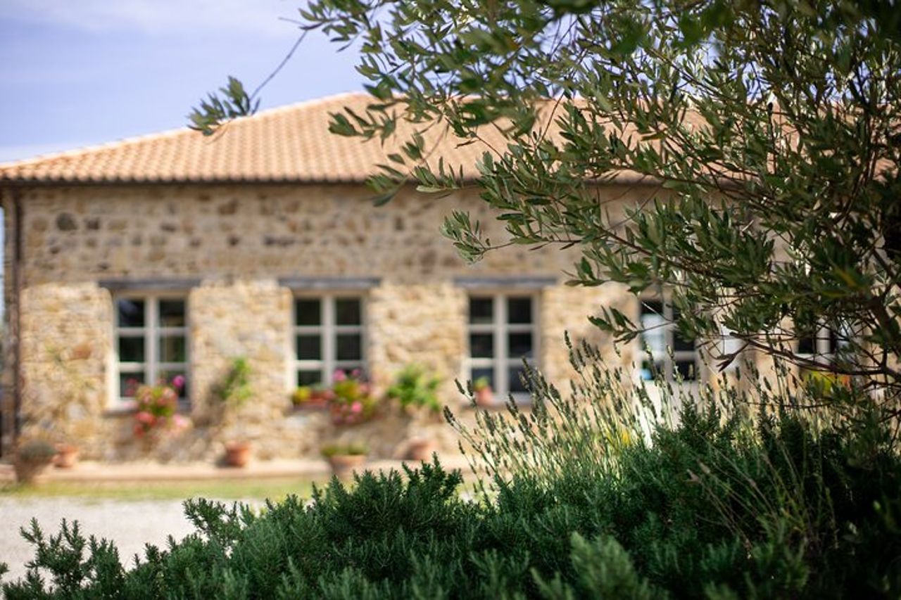 Degustazione vini classica a Montalcino — 2