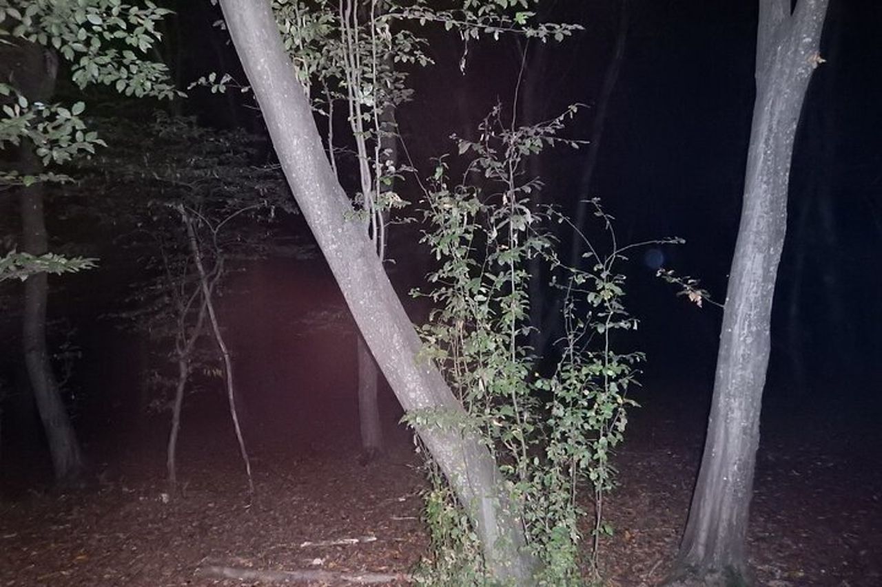 Tour notturno nella foresta di Hoia Baciu — 7