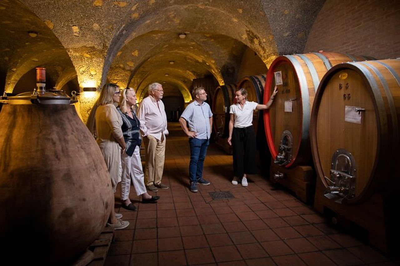 Visita guidata con degustazione di vini a Montalcino — 5