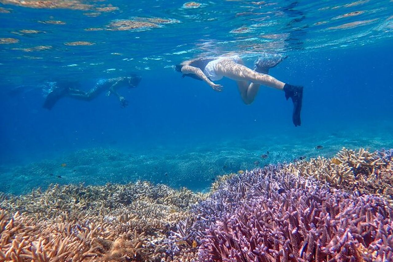 Snorkeling all'Isola Fantasma di Okinawa Ishigaki e alla Grotta Blu — 6