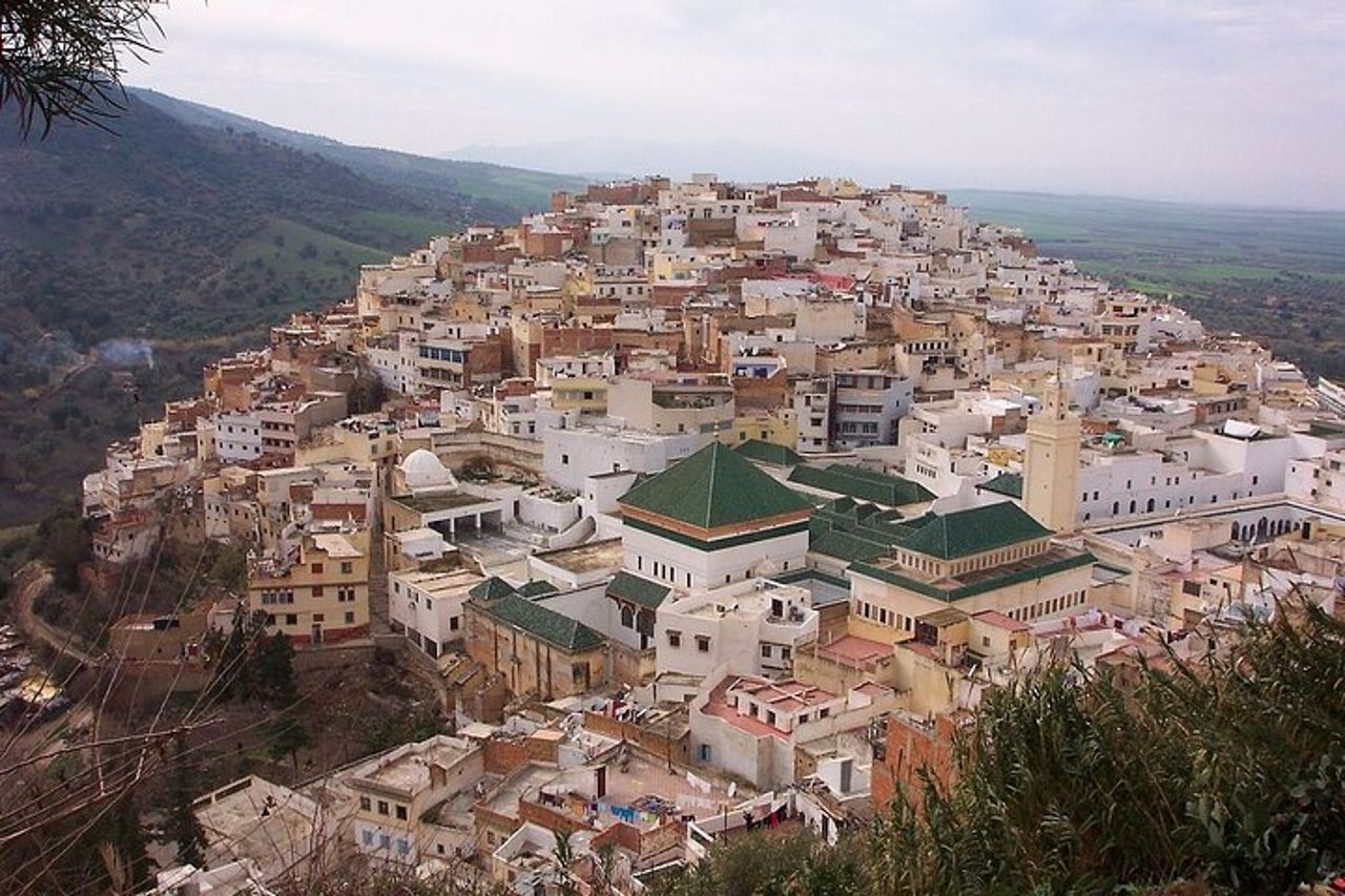 Piccolo gruppo: da Fez a Volubilis - Gita di un giorno a Mouly Idriss e Meknes — 2