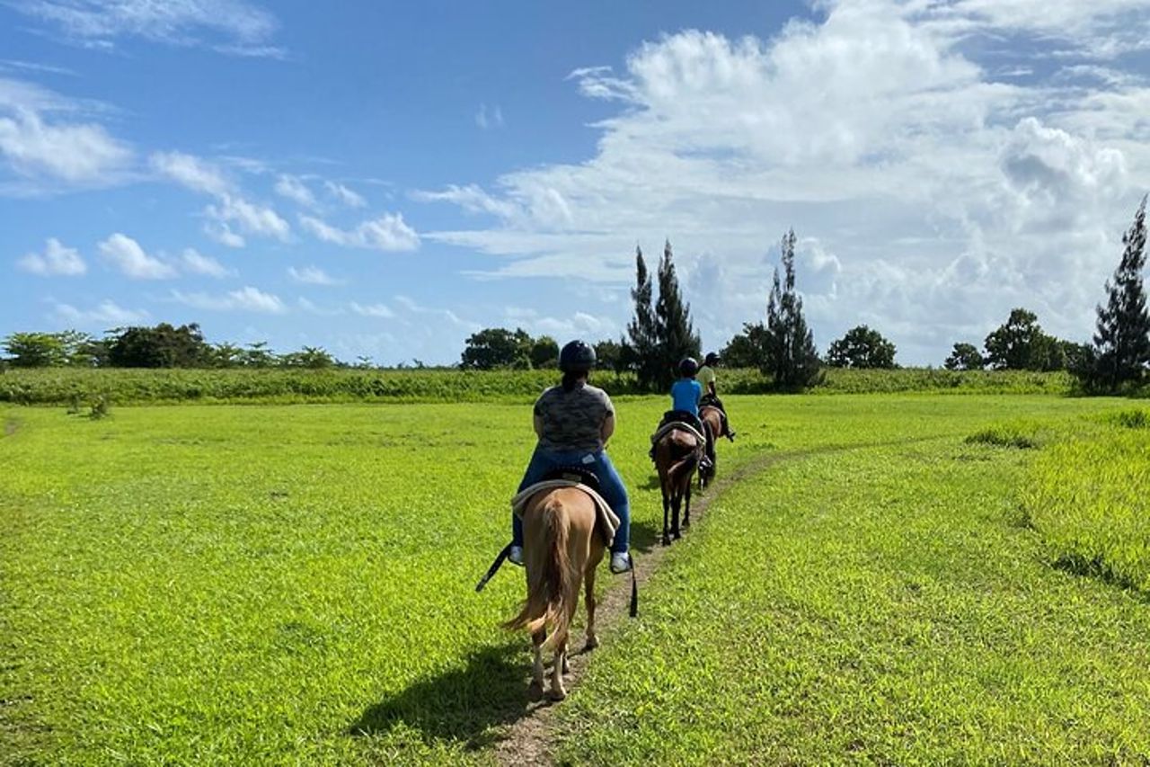 Tour panoramico a cavallo da San Juan — 3