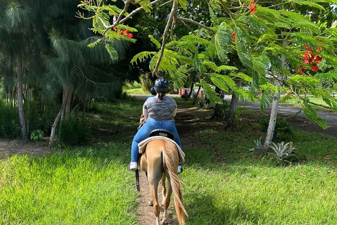 Tour panoramico a cavallo da San Juan — 8