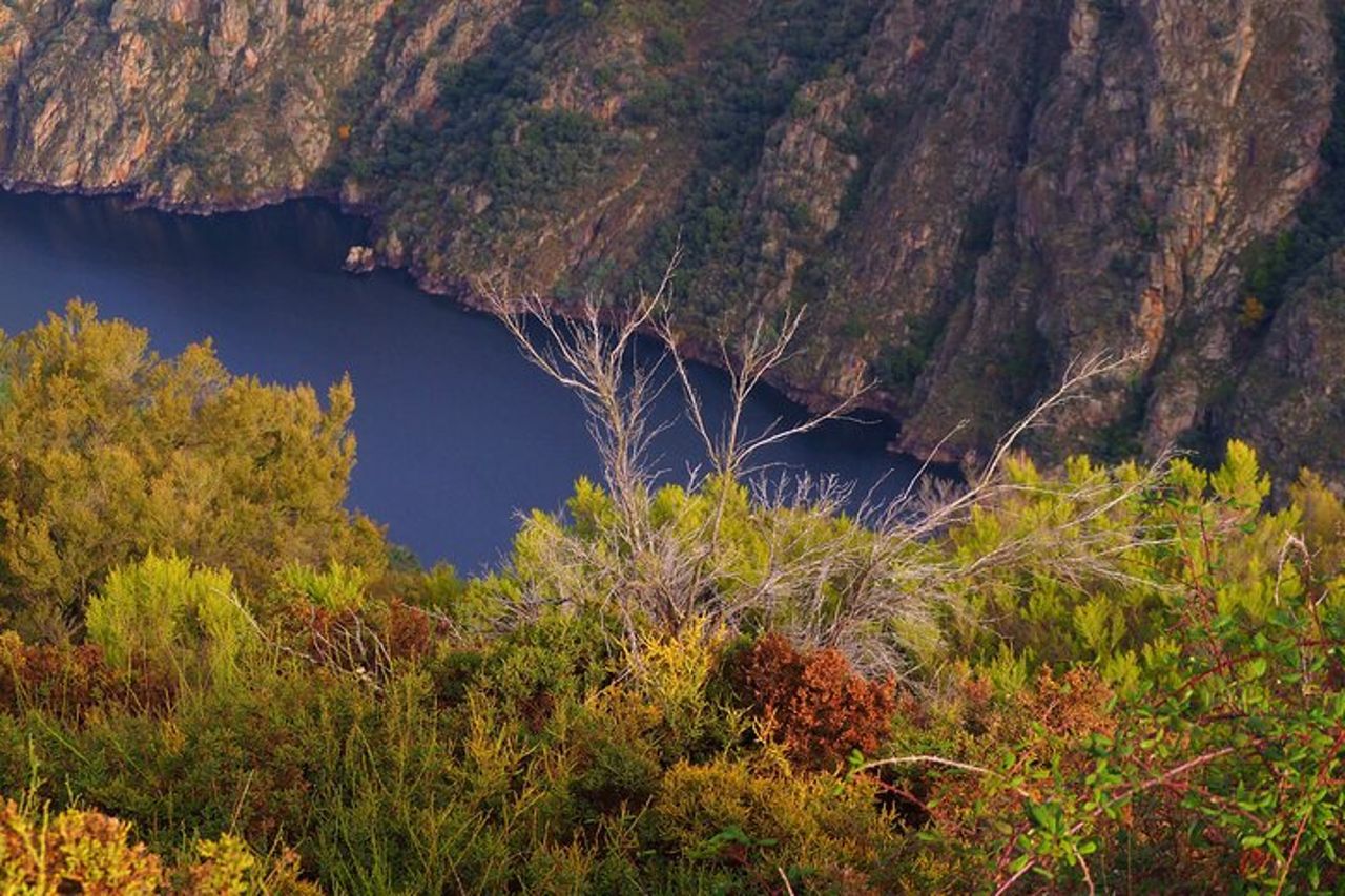Ribeira Sacra in barca (facoltativa), visita di Ourense da Santiago — 4