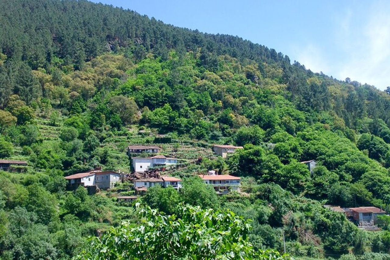 Ribeira Sacra in barca (facoltativa), visita di Ourense da Santiago — 5
