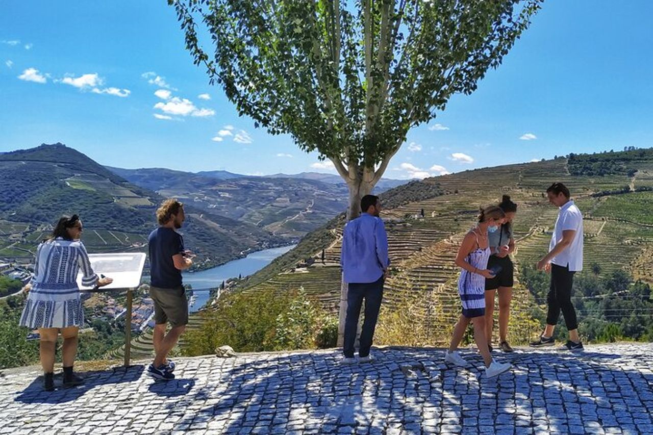 Gita di un giorno nella Valle del Douro: 2 cantine, barca privata e pranzo autentico — 9