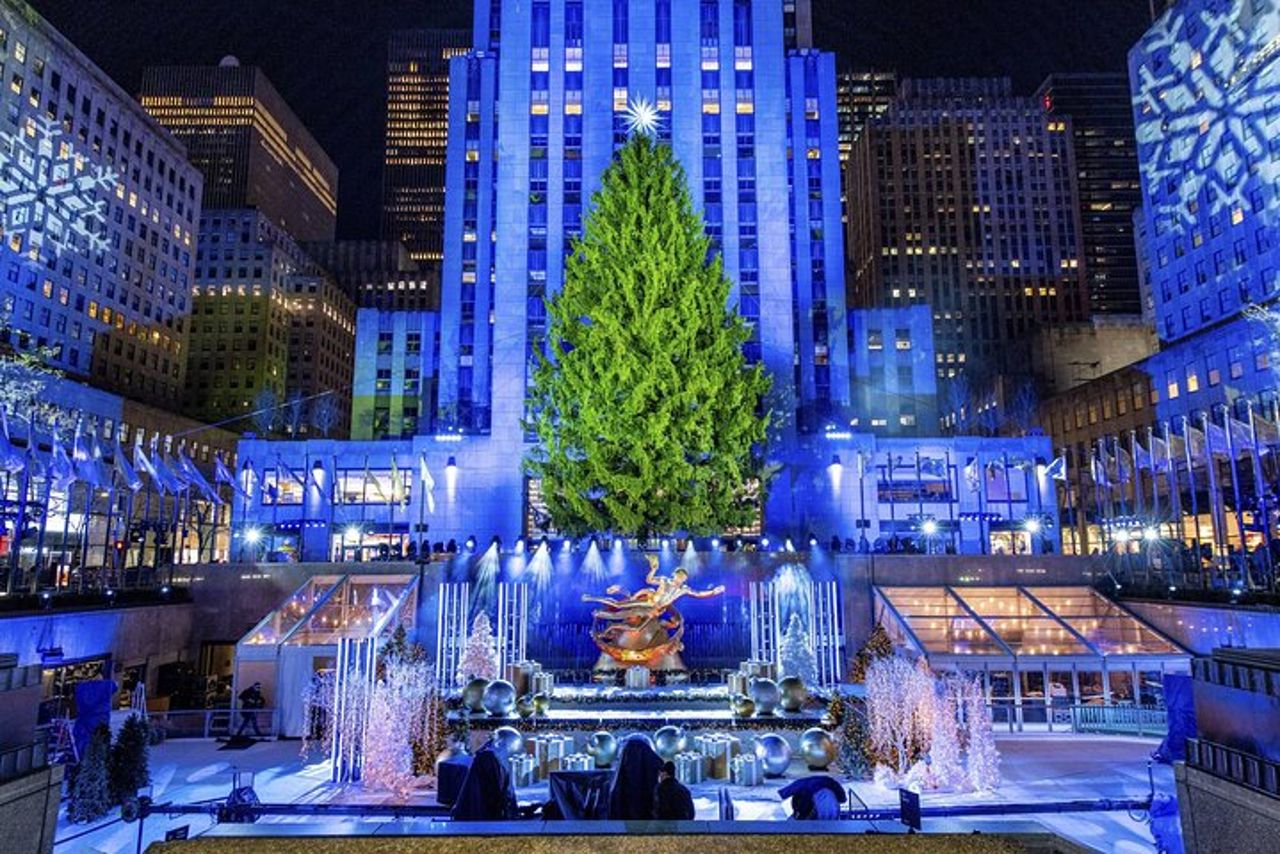Giro in carrozza privata con le luci di Natale a New York City