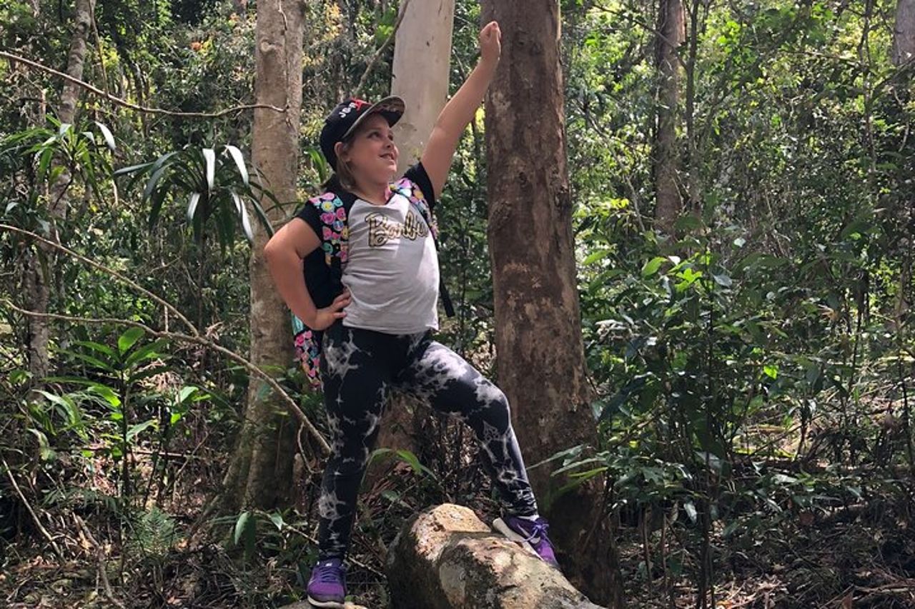 Deluxe Springbrook & Mt Tamborine Glow Worms e famoso Skywalk — 7