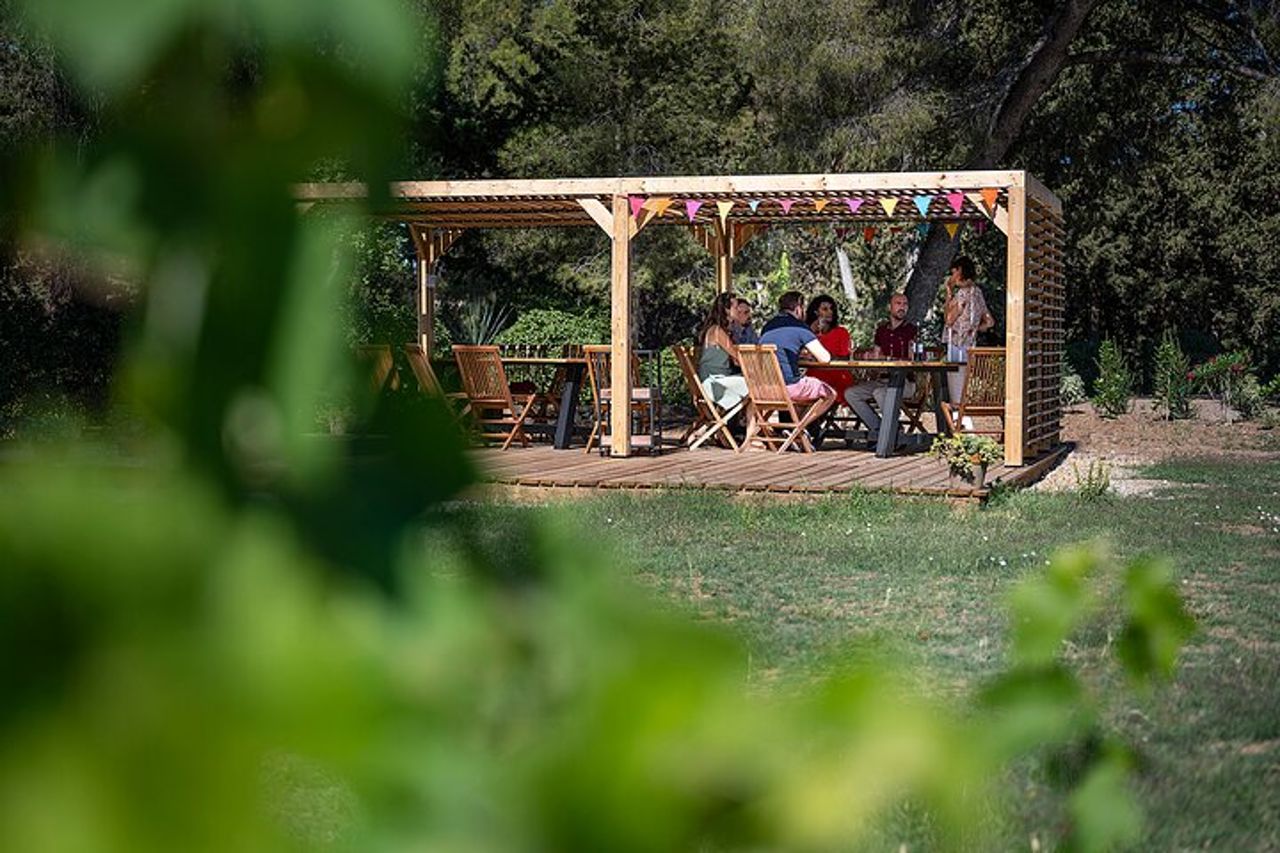 Tour enologico privato della Linguadoca di mezza giornata da Sète — 3