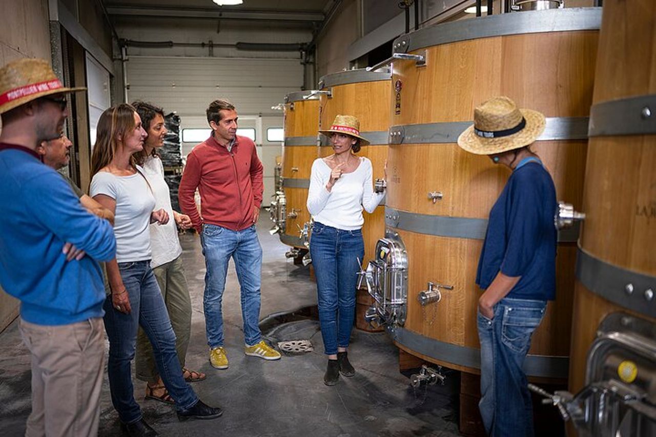 Tour enologico privato della Linguadoca di mezza giornata da Sète — 4