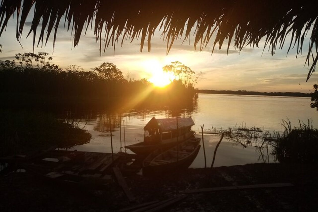 Guarigione, trattamento con piante medicinali "Green Amazon Amazon Expedition" 7 giorni — 5