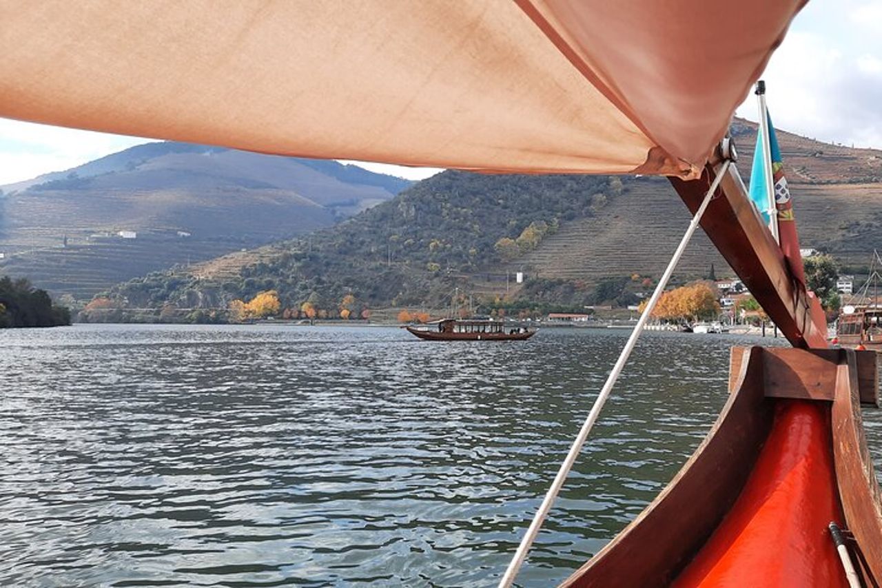 Tour della Valle del Douro - 3 degustazioni di vini, pranzo e crociera sul fiume — 7