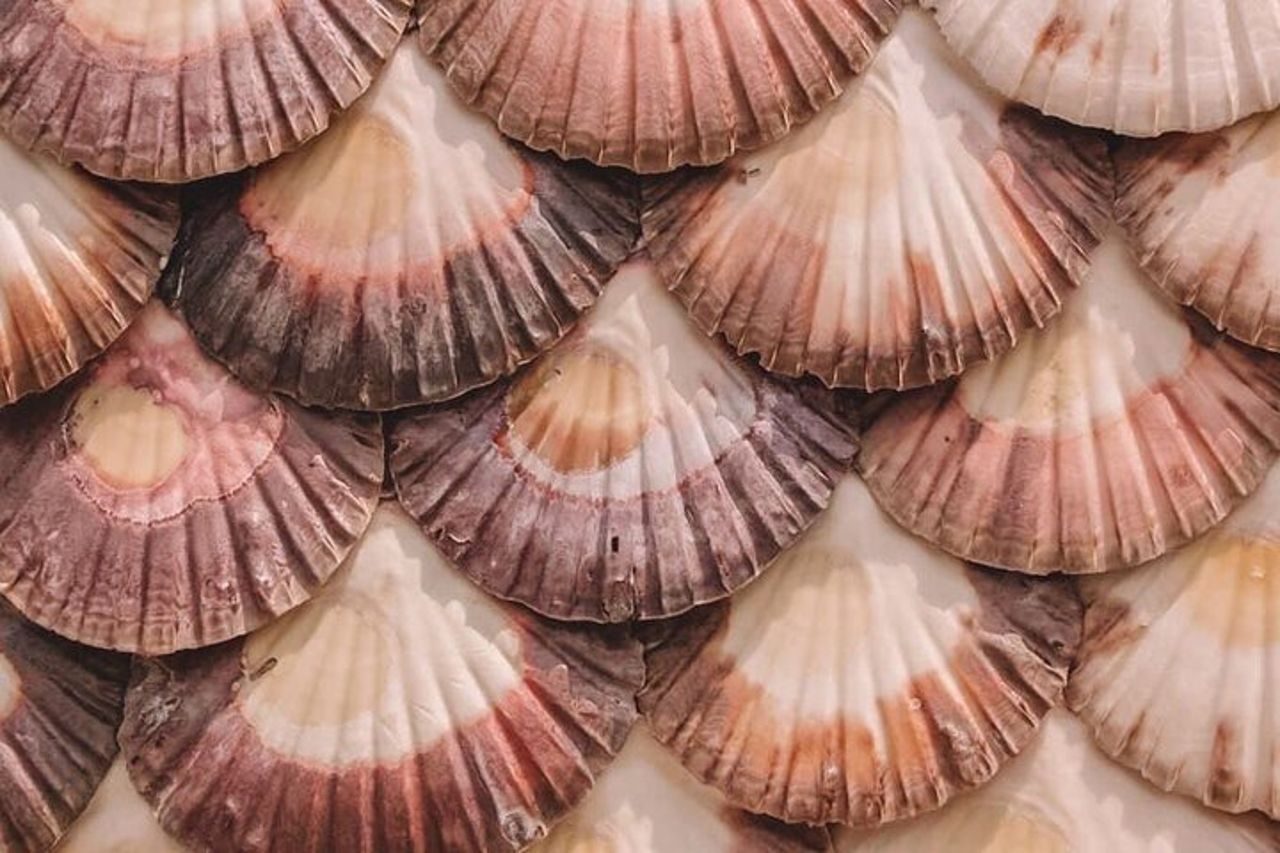 Tour delle Rias Baixas con cantina e barca (facoltativo) — 9