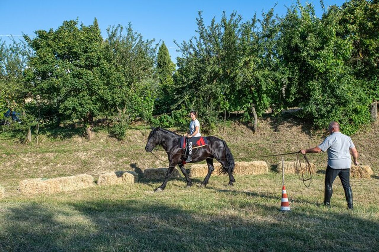 A cavallo sulle colline tra Valdichiana Senese e Val d'Orcia con picnic toscano — 2