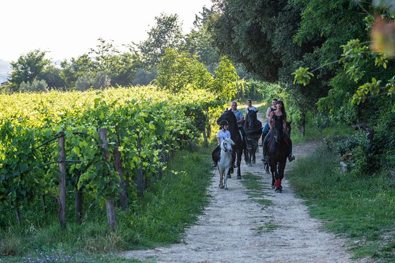 A cavallo sulle colline tra Valdichiana Senese e Val d'Orcia con picnic toscano — 3