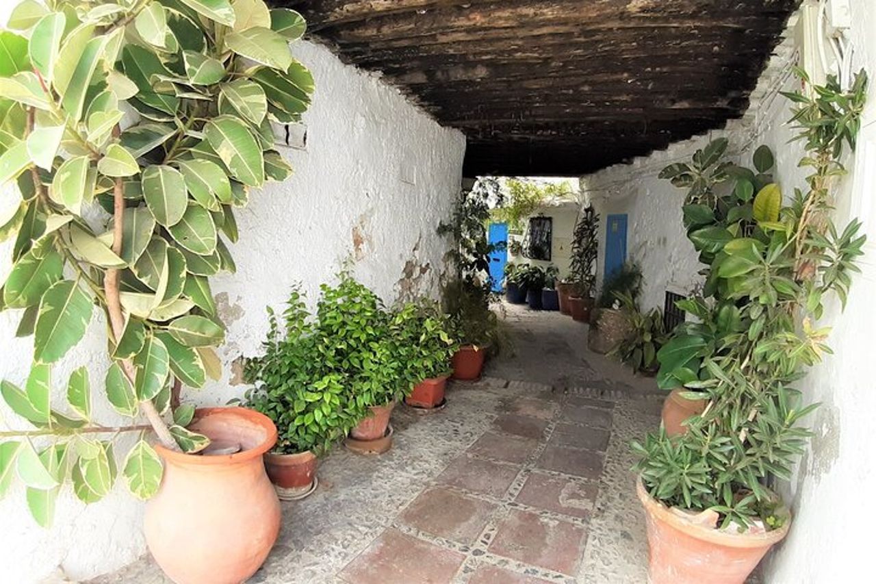 Tour privato a piedi a Frigiliana — 9