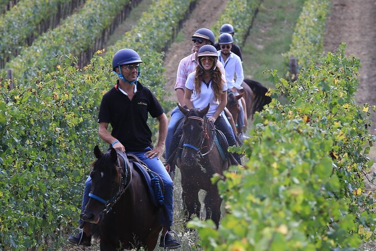 Tour del vino a cavallo per piccoli gruppi, San Gimignano, Pranzo — 4