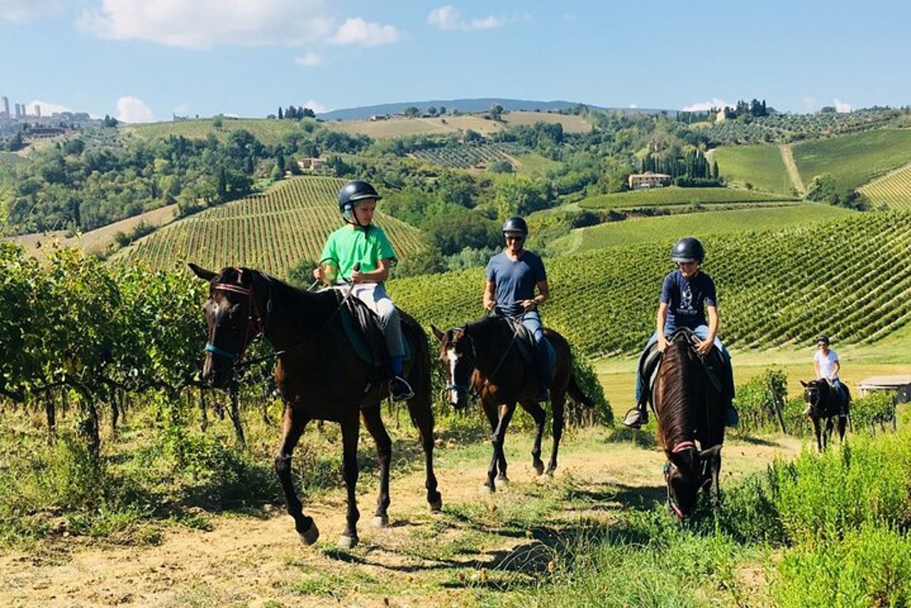 Tour del vino a cavallo per piccoli gruppi, San Gimignano, Pranzo — 3