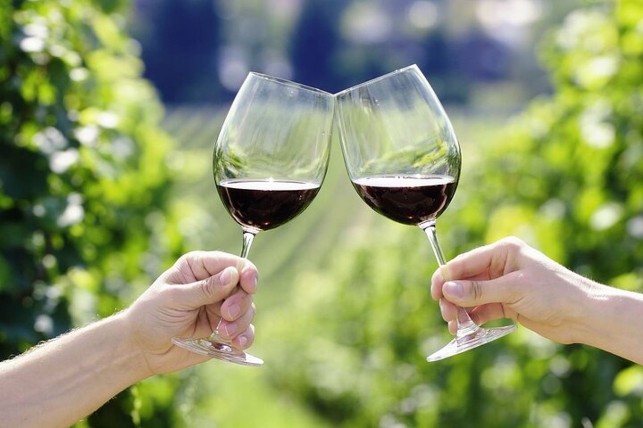 Tour del vino a cavallo per piccoli gruppi, San Gimignano, Pranzo — 6