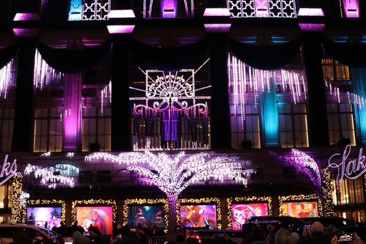 Giro in carrozza privata con le luci di Natale a New York City — 8