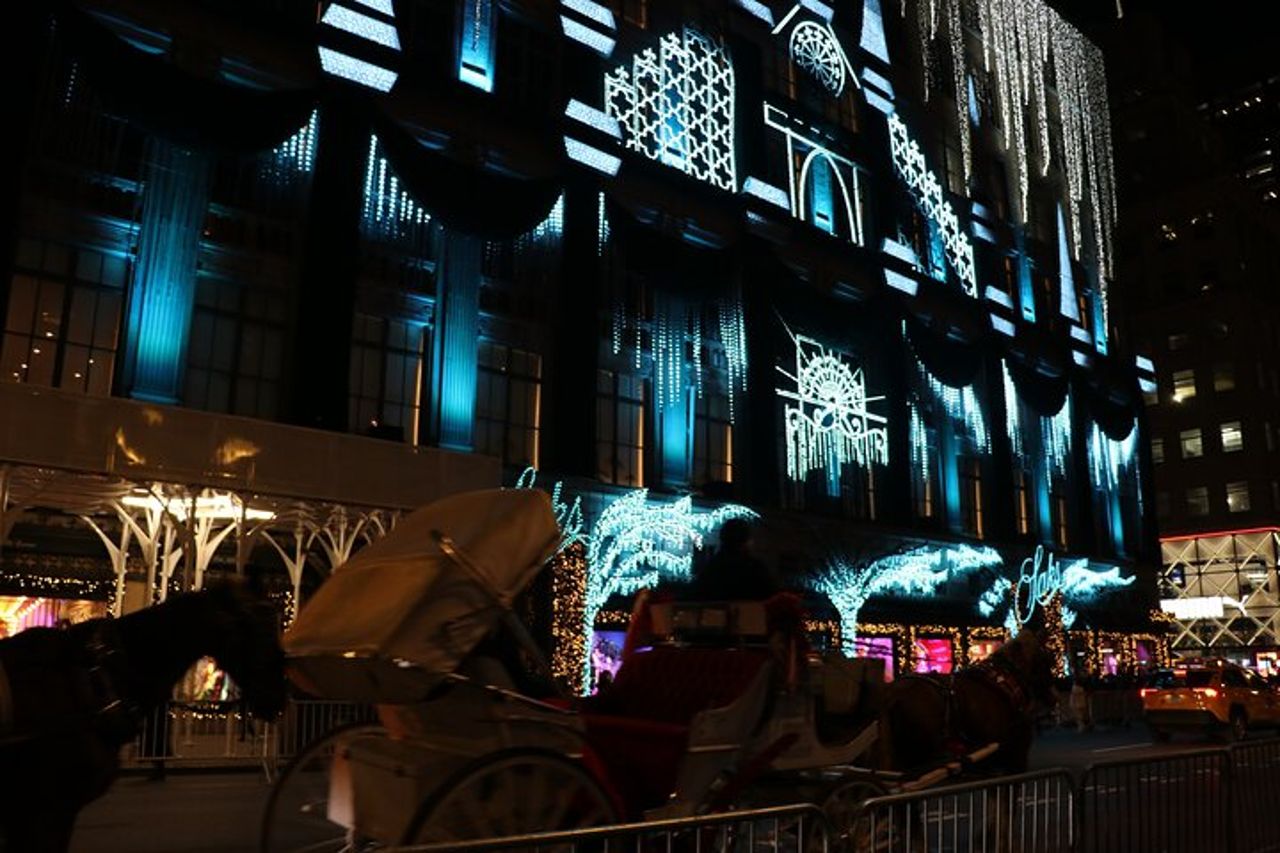 Giro in carrozza privata con le luci di Natale a New York City — 4