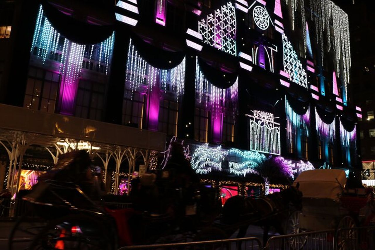 Giro in carrozza privata con le luci di Natale a New York City — 9