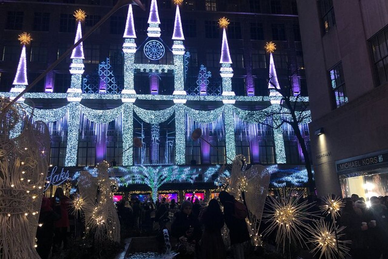 Giro in carrozza privata con le luci di Natale a New York City — 7