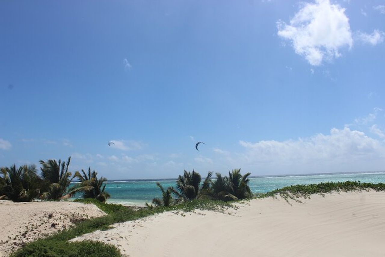 Tour del Beach Club con splendide viste sul Mar dei Caraibi. Trasporto incluso — 7