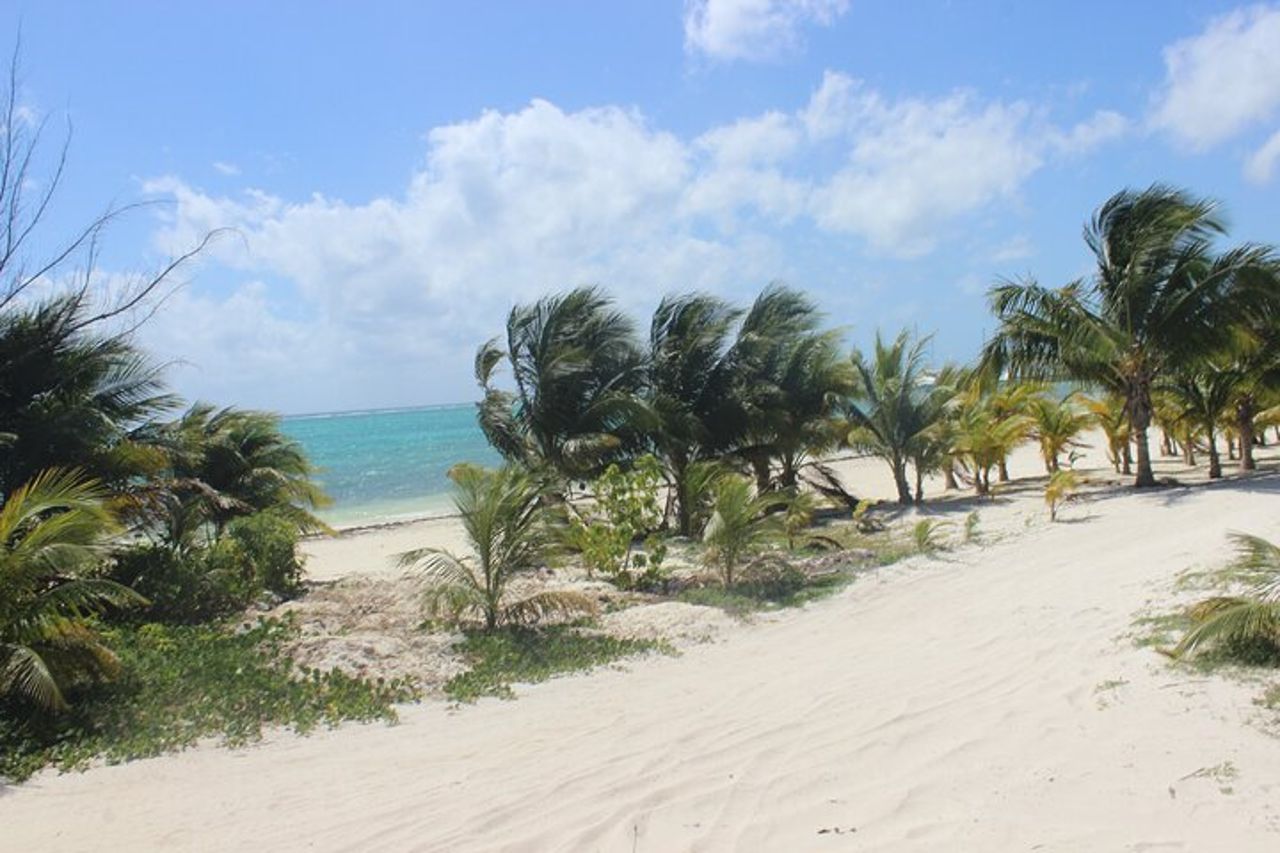 Tour del Beach Club con splendide viste sul Mar dei Caraibi. Trasporto incluso — 9