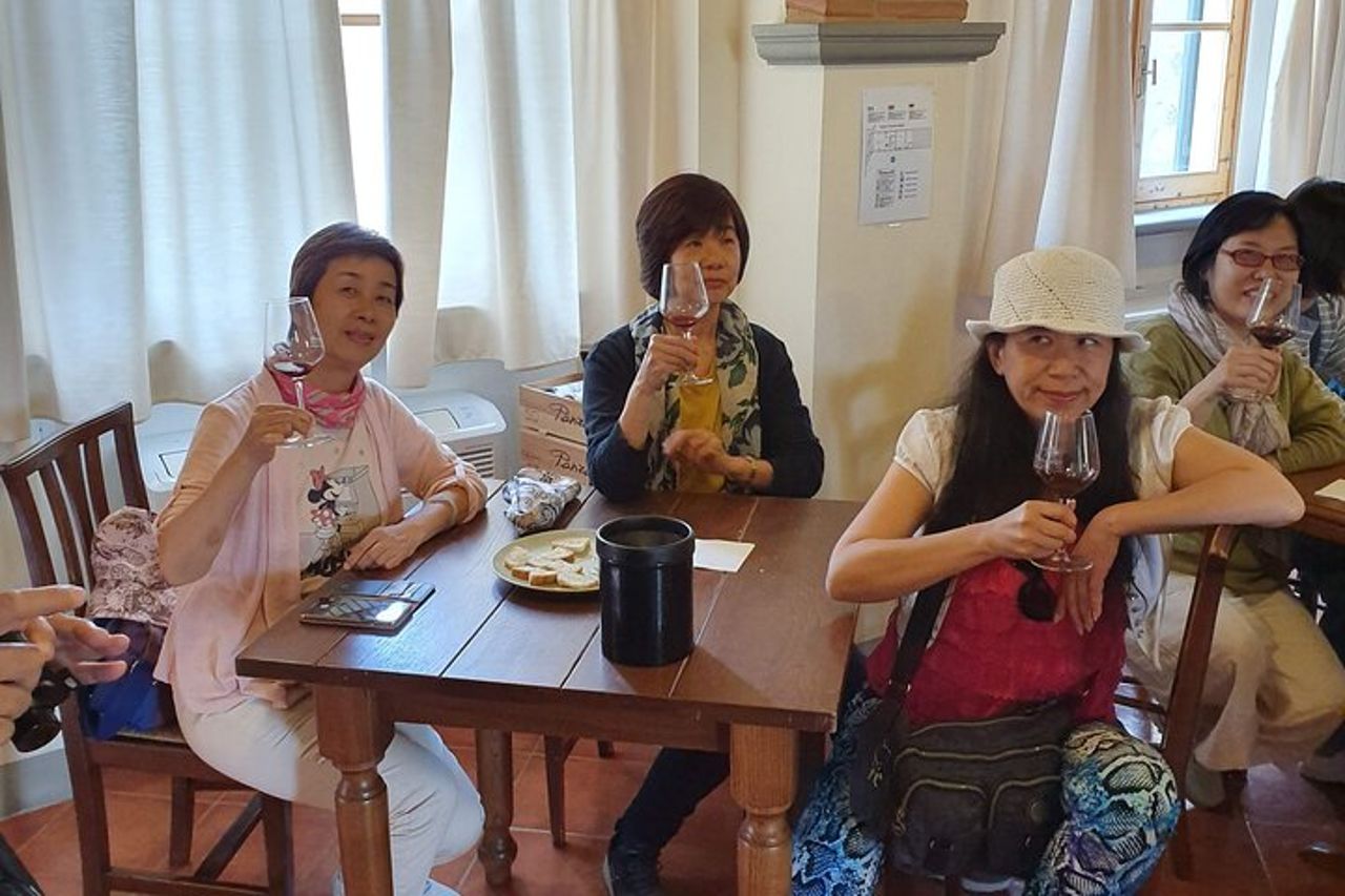 Trionfo dei Sapori, Tour Cantina, Vini Bio a Panzano in Chianti — 8