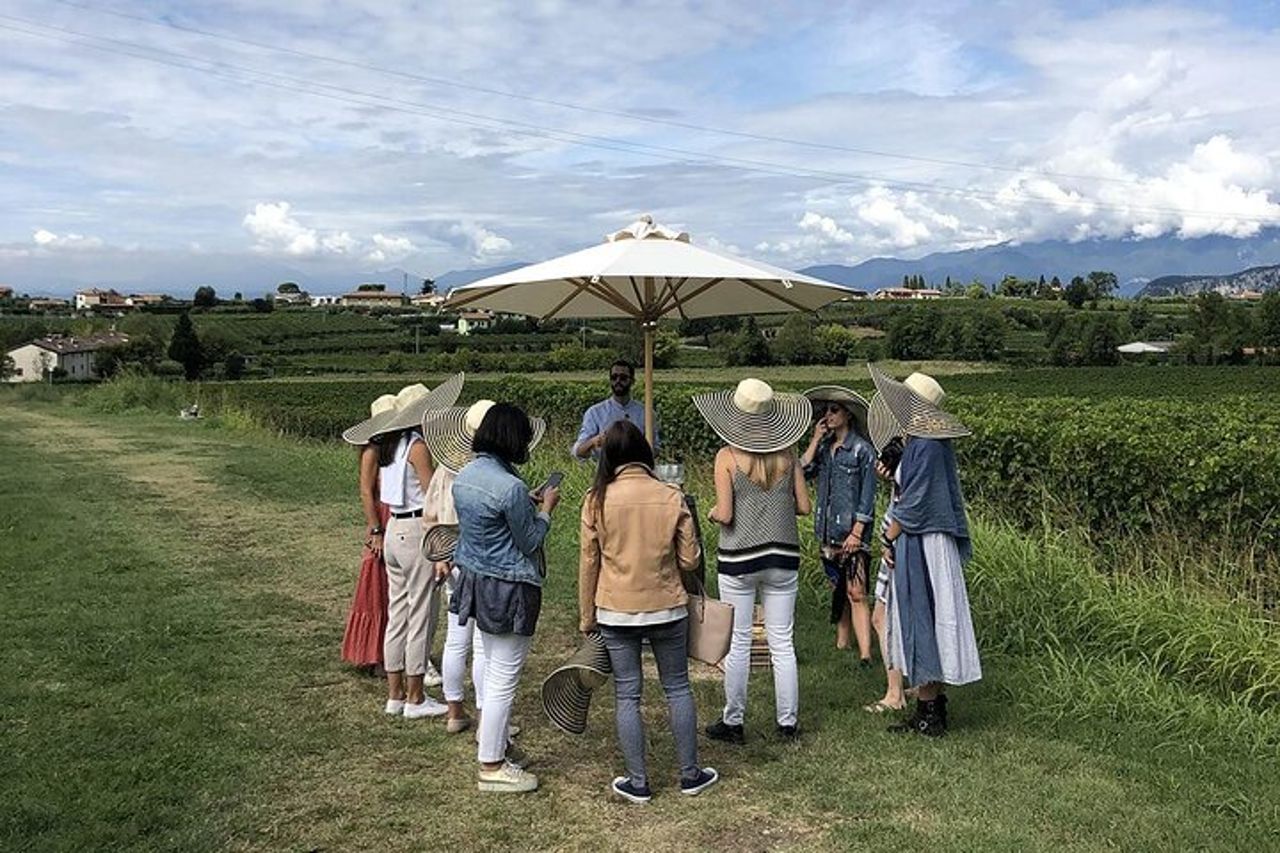 Bardolino Wine Experience — 8