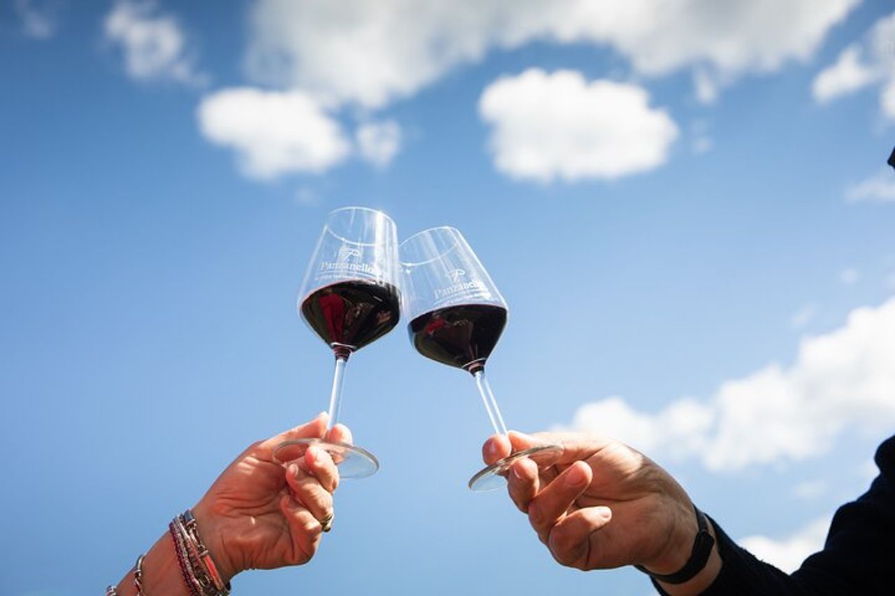 Trionfo dei Sapori, Tour Cantina, Vini Bio a Panzano in Chianti