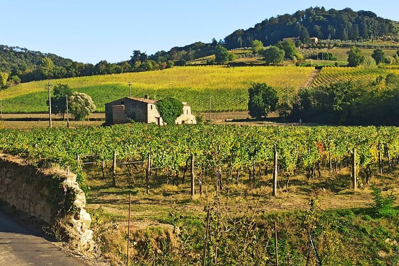 ESCLUSIVO Wine Tour nel Chianti e San Gimignano (pranzo e degustazione di vini inclusi) — 9