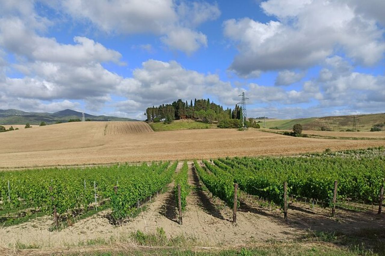 ESCLUSIVO Wine Tour nel Chianti e San Gimignano (pranzo e degustazione di vini inclusi) — 3