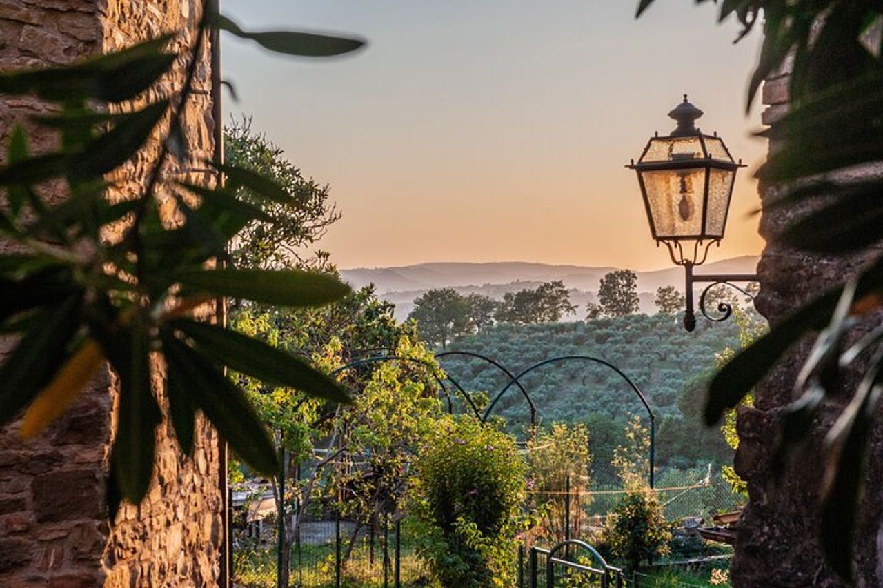 Tour del vino e dell'olio d'oliva dell'Umbria con pranzo leggero — 5