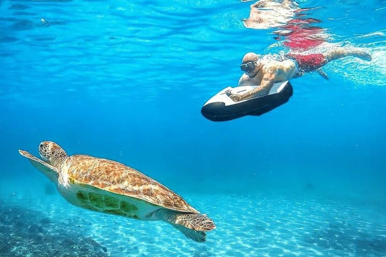 Seabob in Guadalupa — 3