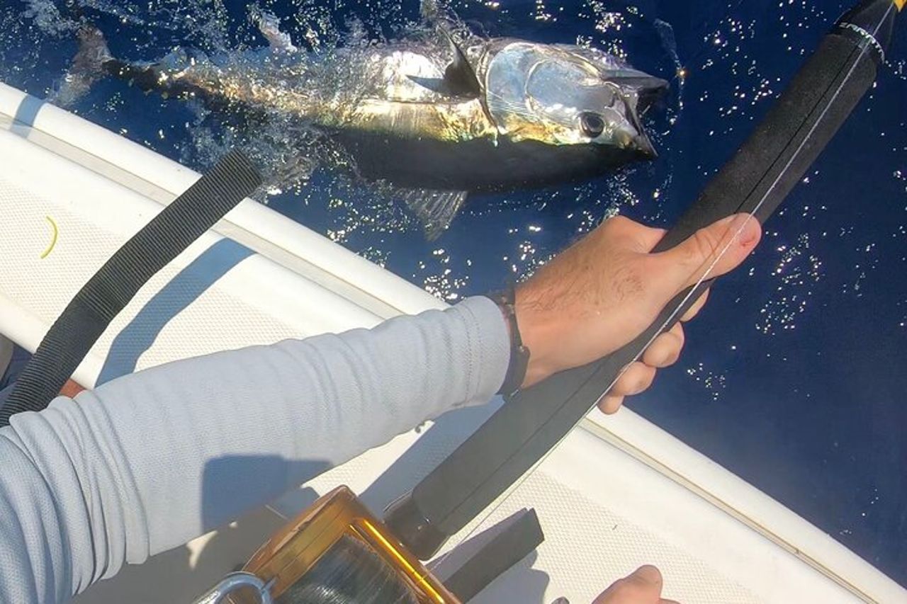 Charter di Pesca al Tonno Rosso alle Egadi