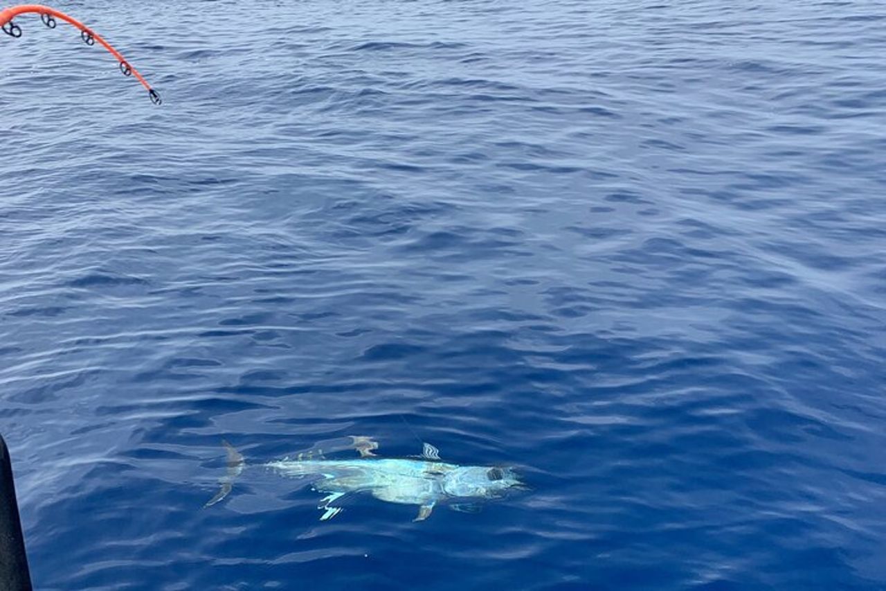 Charter di Pesca al Tonno Rosso alle Egadi — 5